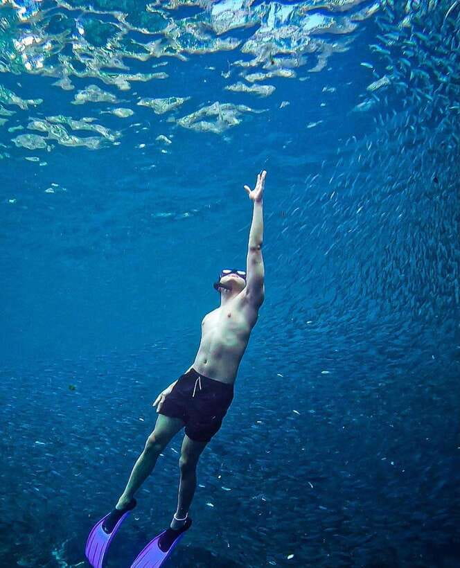 Bohol: Guided Sardine Reef Snorkeling Experience - Other Fish When the Main Attraction Is Quiet