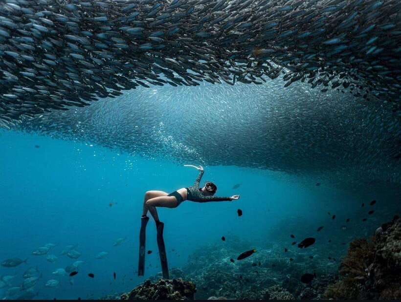 Bohol: Guided Sardine Reef Snorkeling Experience - Getting Picked Up in Panglao