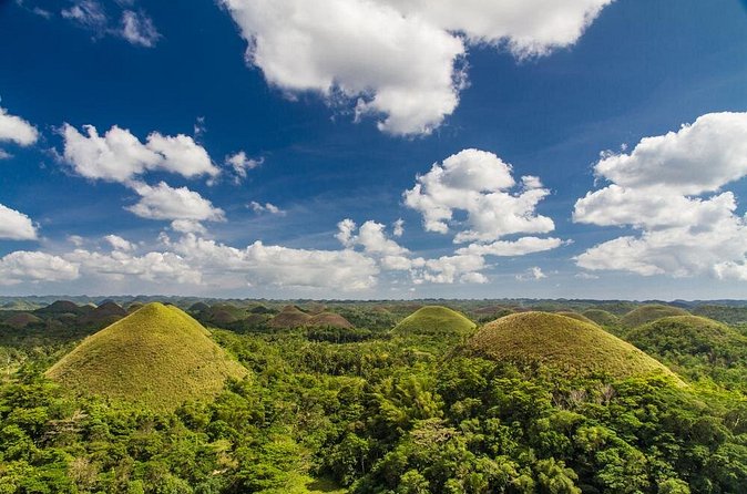 Bohol Highlights Tour: Chocolate Hills, Tarsier Spotting and Loboc River Cruise - The Chocolate Hills viewpoint near Carmen
