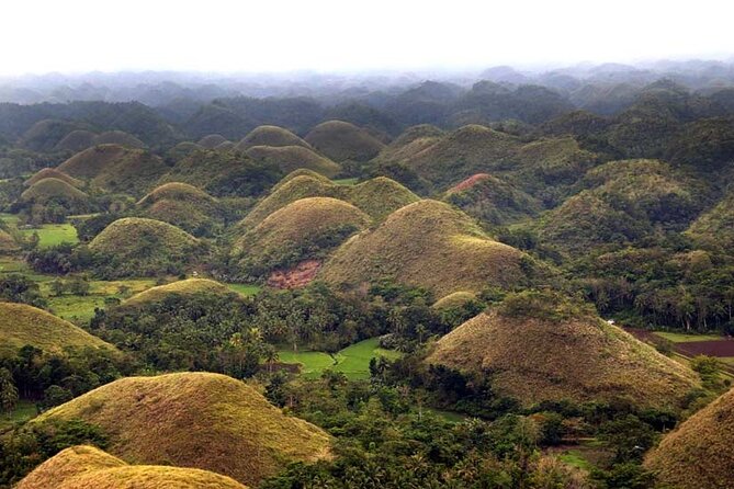Bohol Highlights Tour: Chocolate Hills, Tarsier Spotting and Loboc River Cruise - Starting with the Blood Compact Monument