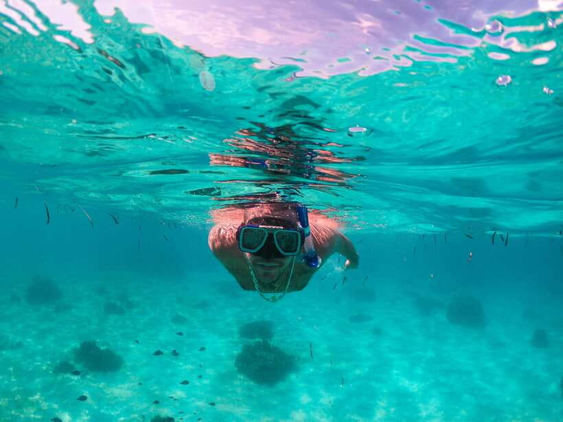 Bohol: Pamilacan Island Dolphin/Turtle Watching Tour & Lunch - Why Pamilacan makes a good day trip from Bohol