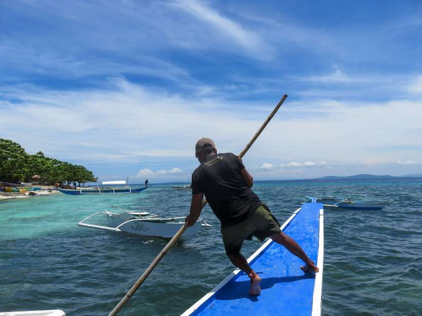 Bohol: Pamilacan Island Dolphin/Turtle Watching Tour & Lunch - Dolphin watching on the Bohol Sea