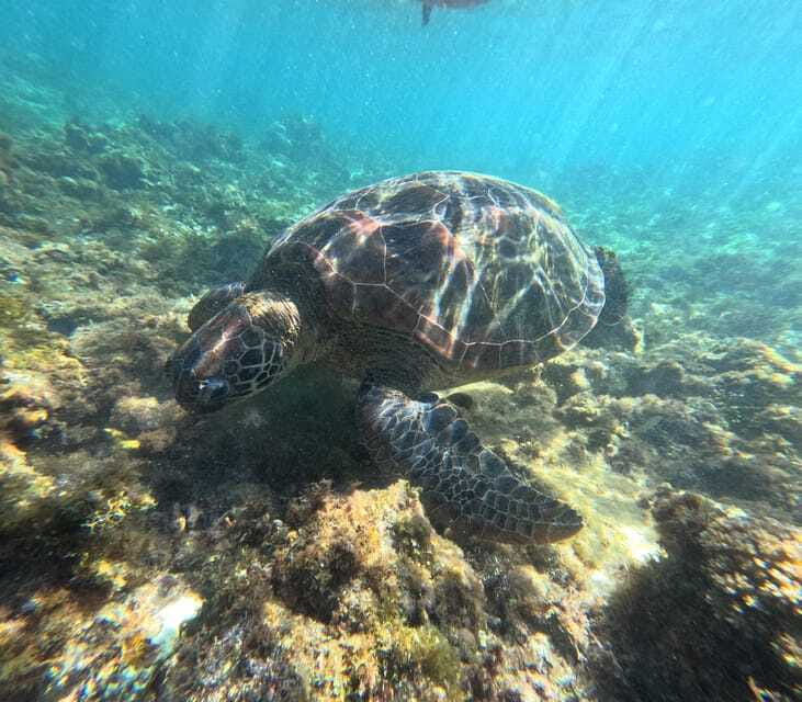 Bohol PREMIUM PAMILACAN Island Tour - Walking into island life