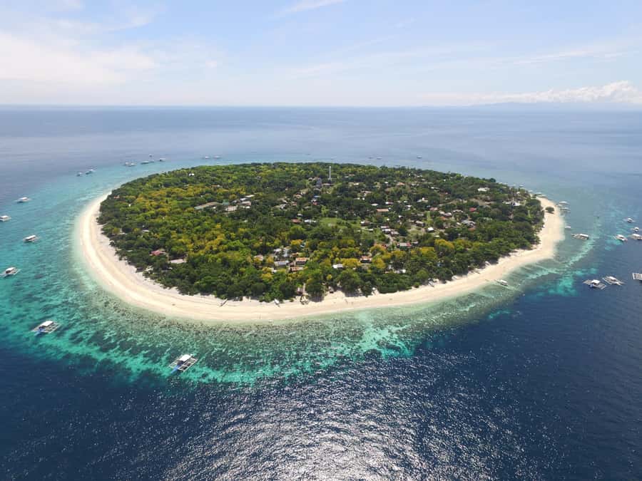 Bohol: Private Balicasag Tour with extra snorkeling time - Looking for dolphins as the sun comes up