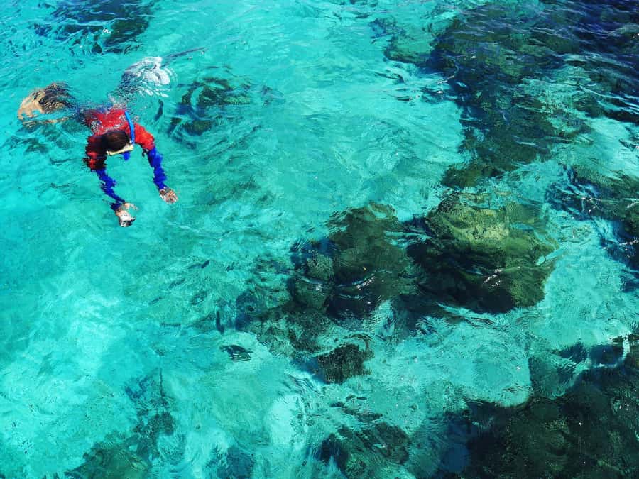 Bohol: Private Balicasag Tour with extra snorkeling time - What is included, and what you should bring