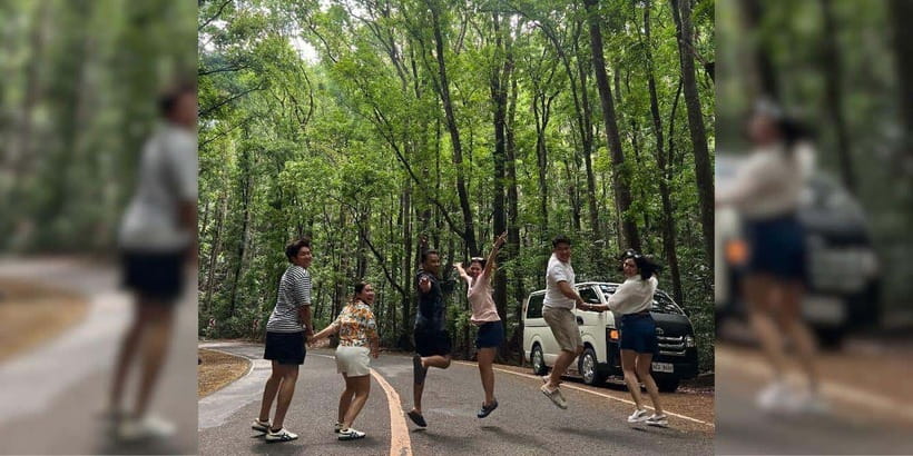 Bohol Private Tour: Chocolate Hills, Tarsiers & Loboc River - Man-Made Forest and the road to Chocolate Hills