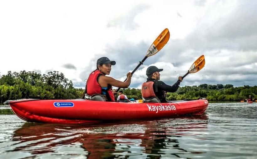 Bohol: SUSTAINABLE Mangrove Tunnels & Firefly Kayaking trail - First paddle: mangrove tunnels and nipa palms