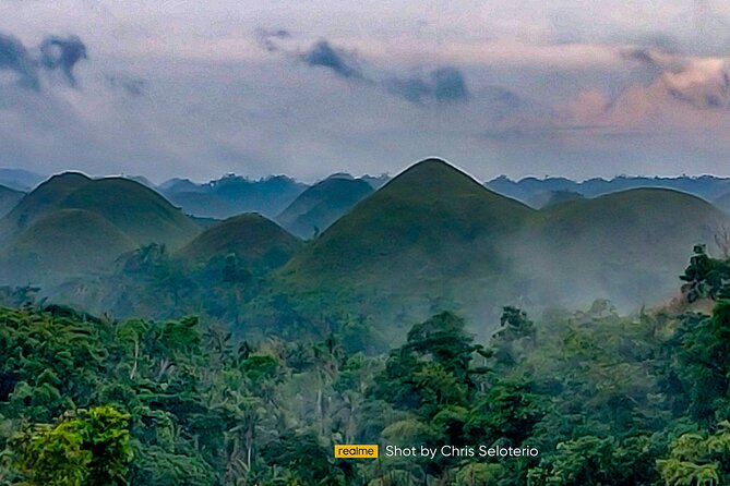 BOHOL Tour 2026 - Chocolate Hills, Tarsier and River Cruise Lunch - Who will enjoy this Bohol day trip most
