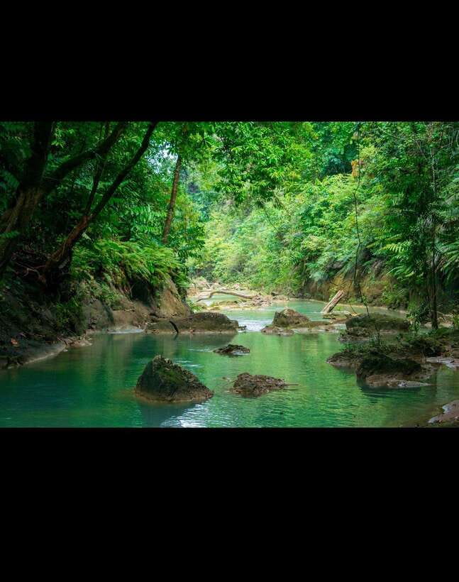 Bohol: Waterfall Hopping & Secret Jungle Trails Guided Tour - The secret waterfall appeal
