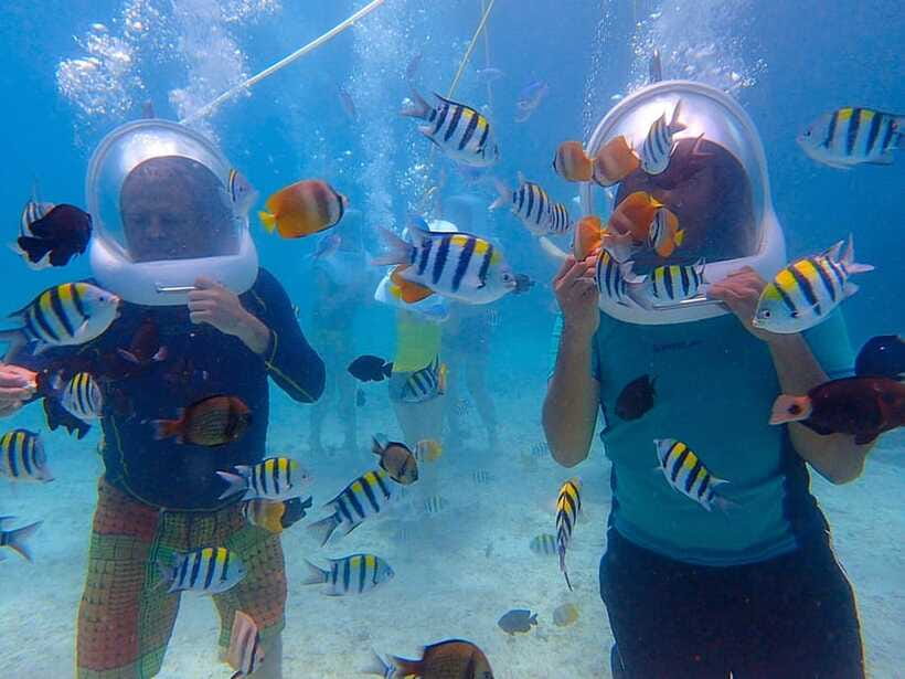 Boracay: Aquanaut Adventure with Photos and Videos - What you see beneath the surface