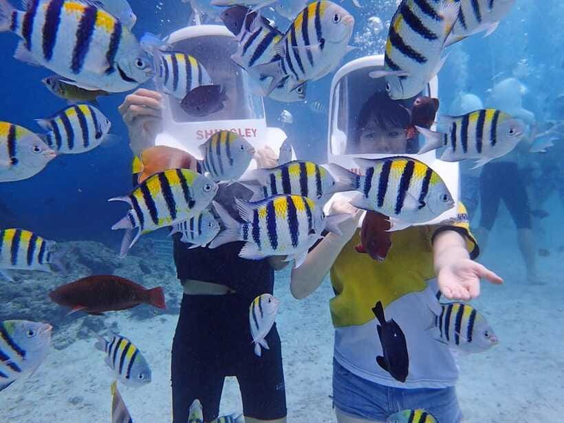 Boracay: Aquanaut Adventure with Photos and Videos - Who should choose this Aquanaut session?