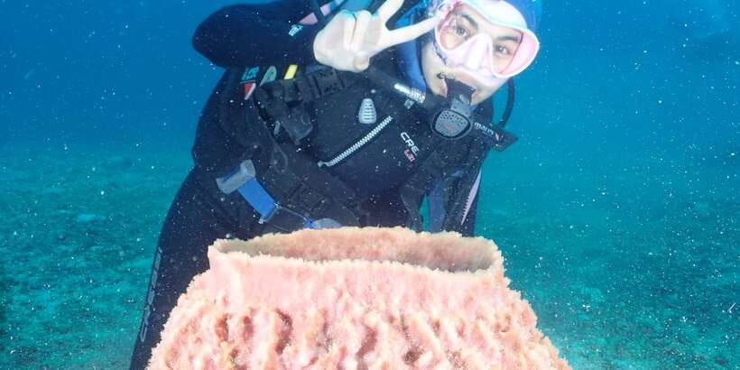 Boracay: Introduction to Scuba Diving Experience - Who should book this Boracay experience?