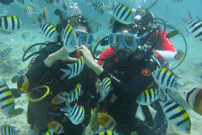 Boracay PADI Discover Scuba Diving - The first lesson: breathing, equipment, and calm