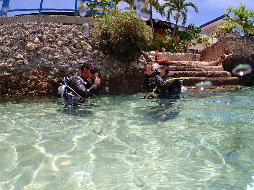 Cebu: Beach Scuba Diving Experience - The underwater show: sardines, turtles, and tropical fish