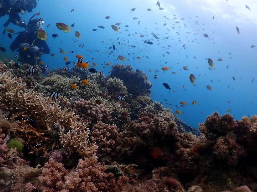 Cebu: Beach Scuba Diving Experience - Getting there from Mactan Island