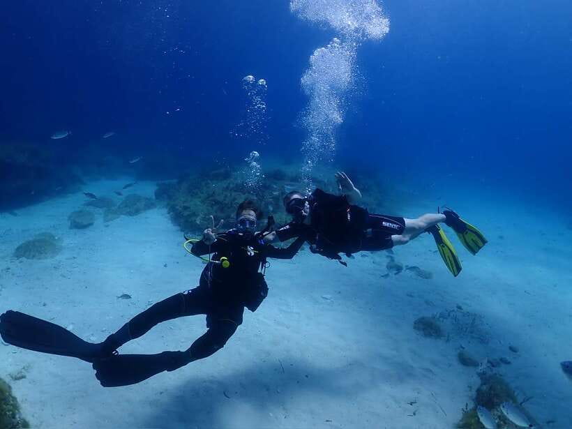 Cebu: Boat Diving Two Dive Tour in Olango Island - Who should book this Cebu scuba trip?