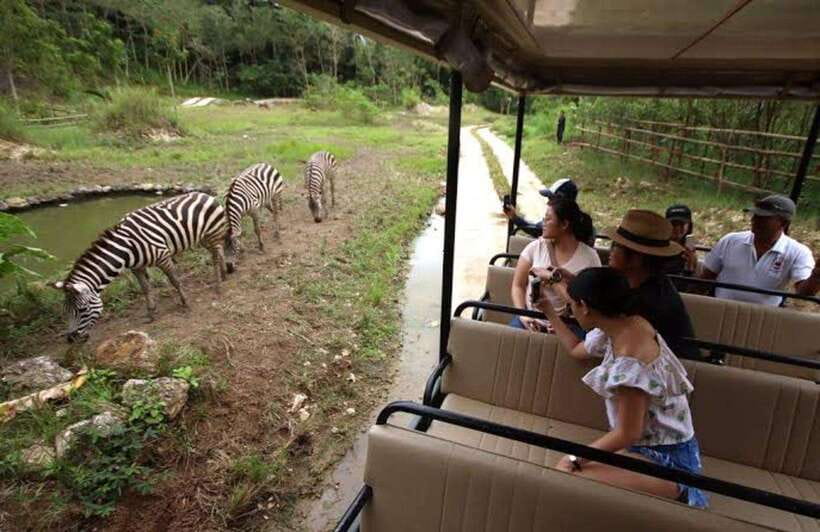 Cebu:Cebu Safari Adventure Park Day Trip - Practical ways to make the day better