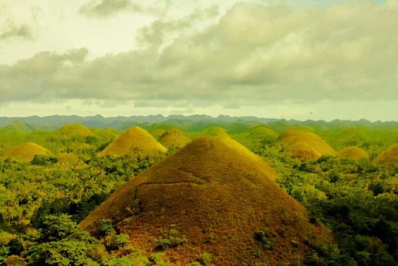Cebu City: Bohol Countryside Tour with River Cruise Lunch - The guide and the way the day is run
