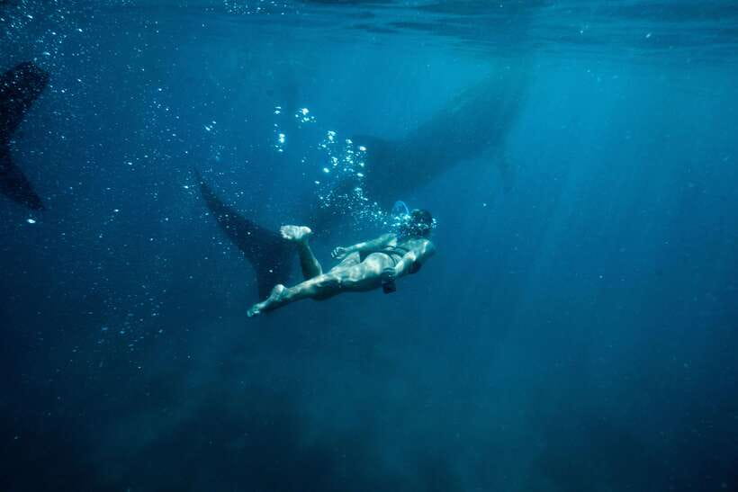 Cebu City: Whale Shark Swimming & Kawasan Falls Canyoneering - The 2 AM start and the long road south