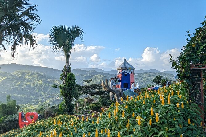 Cebu City with Sirao Garden Half Day Tour - What the five-hour schedule feels like