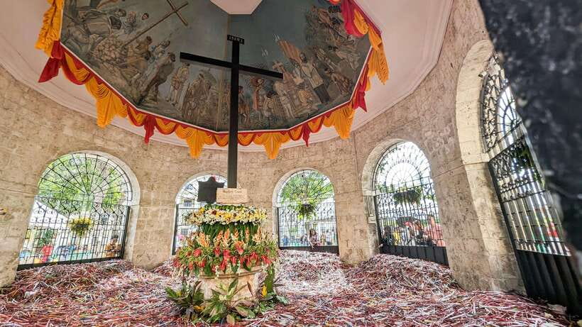 Cebu City with Sirao Garden Half Day Tour - Practical advice for a smoother morning