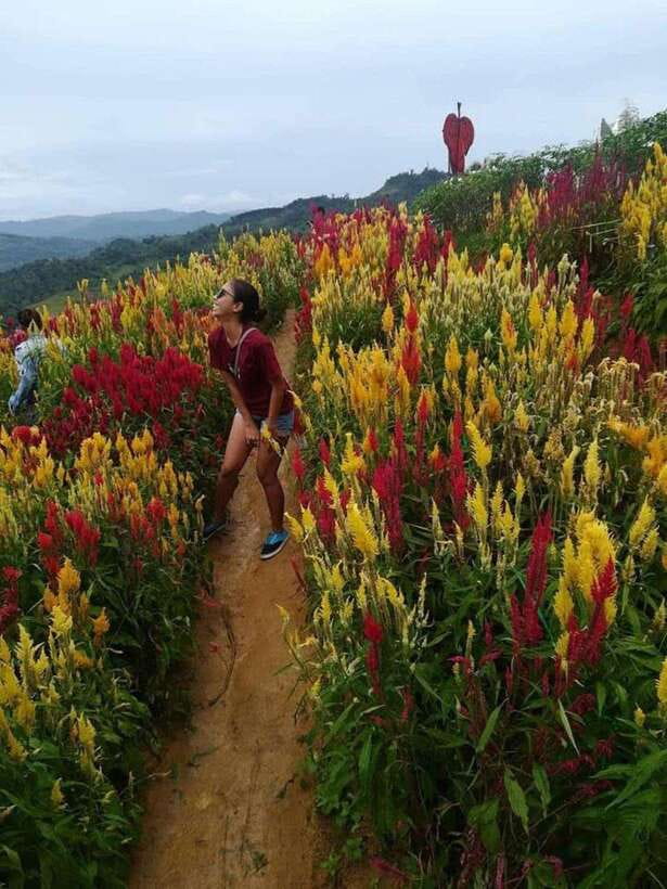 Cebu Highlands: Half-Day Escape with Optional Lunch - Taoist Temple: a quieter final stop