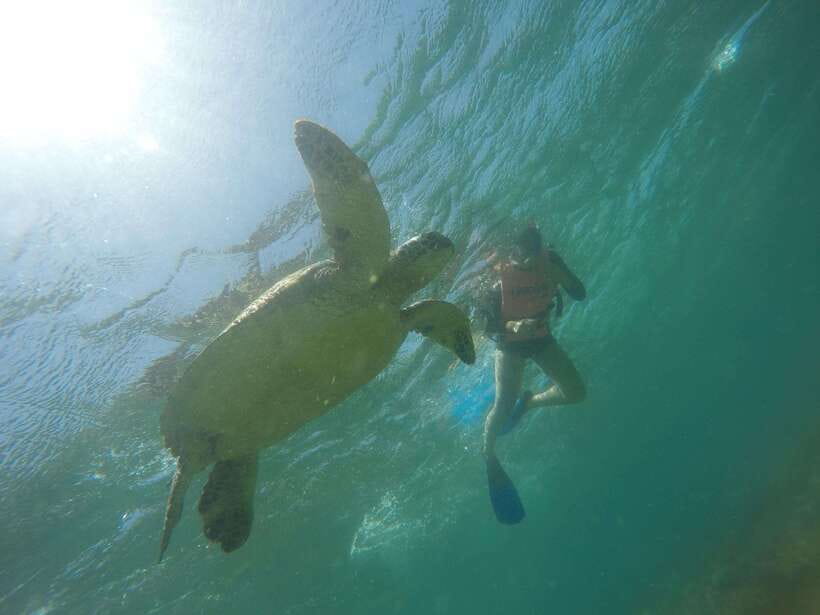 Cebu: Kawasan Canyoneering & Sardines Run and Turtle Chase - A silver cloud off Moalboal’s shore