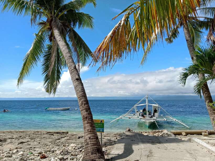 Cebu: Kawasan Canyoning, Moalboal Snorkeling, & Turtles Tour - What the $142 price really covers