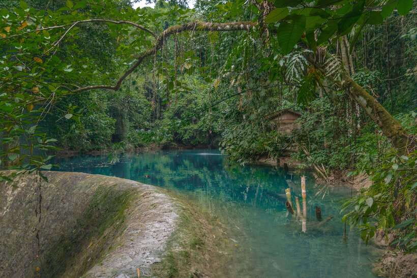 Cebu: Kawasan Falls Canyoneering & Cliff Jump Private Tour - Is $132 good value?