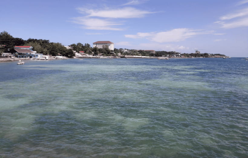 Cebu & Lapu-Lapu City Tour With Lunch at House of Lechon - A quiet pause at Cebu Taoist Temple