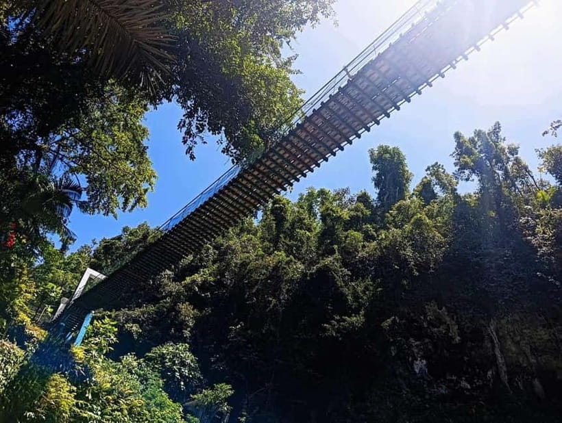 Cebu: Mantayupan Falls, Hermit's Cove & Bojo River Eco Tour - Why the guide can shape the day