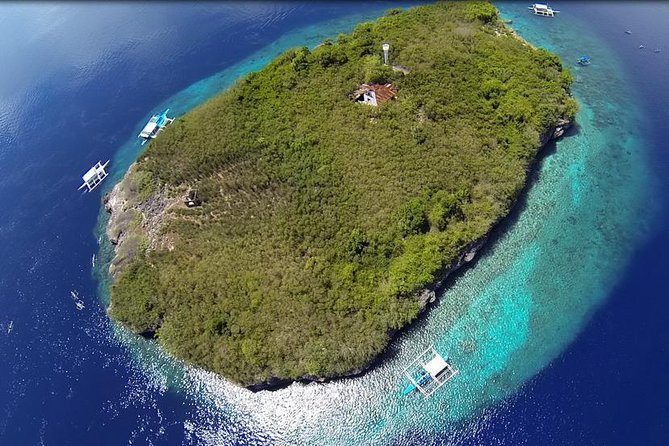 Cebu Moalboal Beach, Sardine Run, Sea Turtle Viewing + Canyoneering Tour - Leaving Cebu City at 5 am