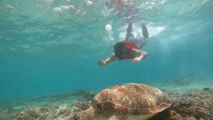 Cebu: Moalboal Island Hopping and Mantayupan Falls Day Trip - Lunch, drinks, and the cost of the day