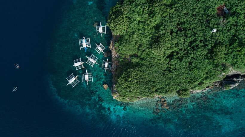 Cebu: Moalboal Sardines and Turtles Snorkeling Tour - The guide and local welcome