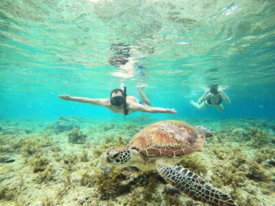 Moalboal Sardines Run Snorkel & Kawasan Canyoneering