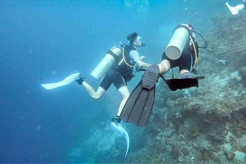 Cebu: Moalboal Scuba Diving, Sardines Run & Pescador Snorkel - What the eight-hour day actually involves