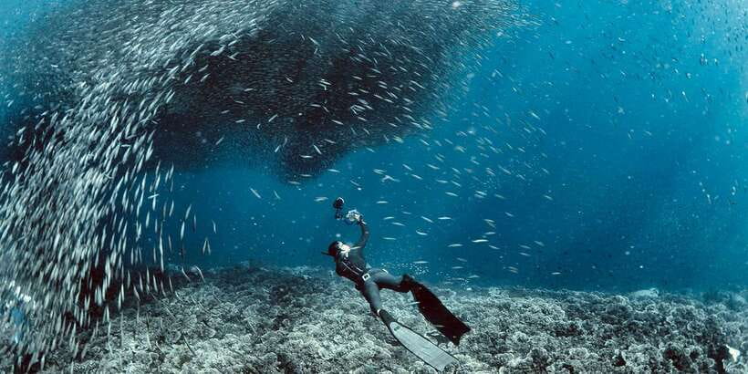 Cebu: Moalboal Scuba Diving with Sardines and Turtle Snorkel - Who should book this Moalboal day?