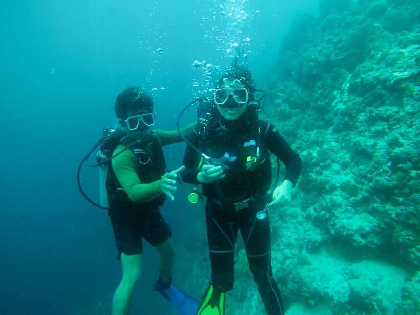 Cebu: Moalboal Scuba Diving with Sardines and Turtle Snorkel - Safety briefing, equipment fitting, and first underwater session