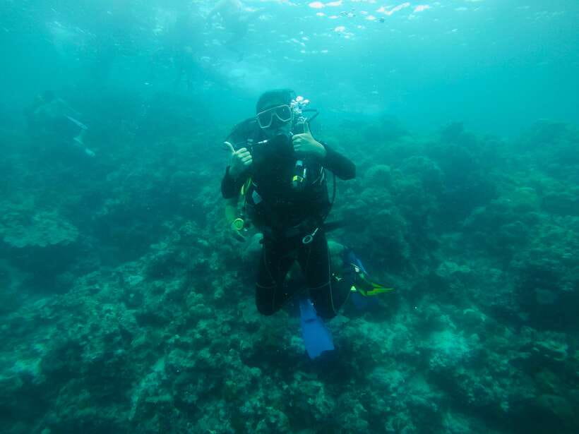 Cebu: Moalboal Scuba Diving with Sardines and Turtle Snorkel - Pescador Island and the coral reef question