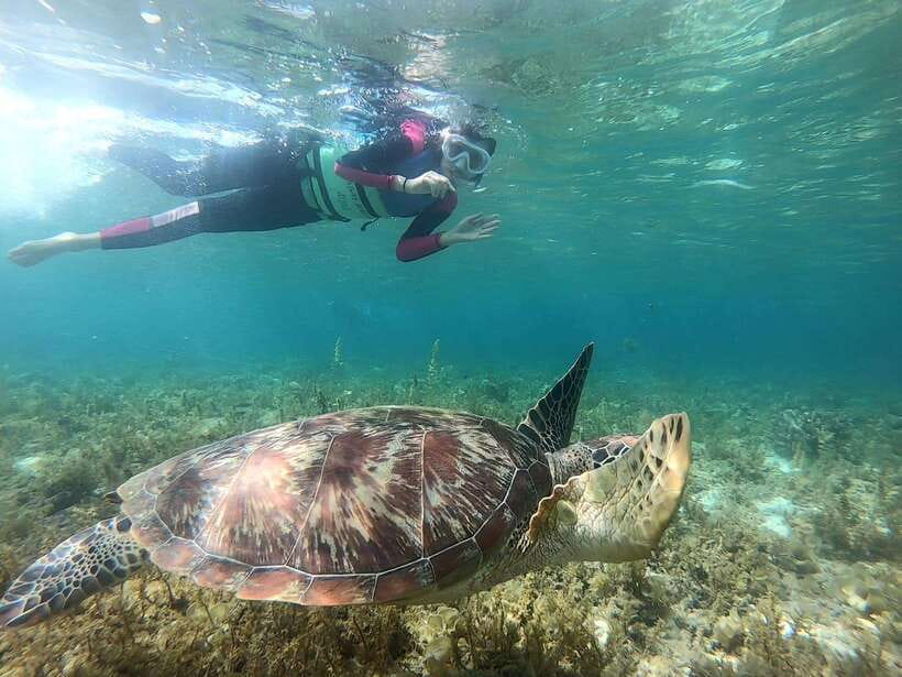 Cebu: Moalboal Snorkeling and Kawasan Falls Canyoneering - Canyoneering Through Kawasan Falls
