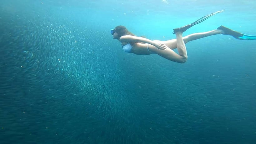 Cebu: Moalboal Snorkeling, Mantayupan Falls & ATV Adventure - Should you book it?