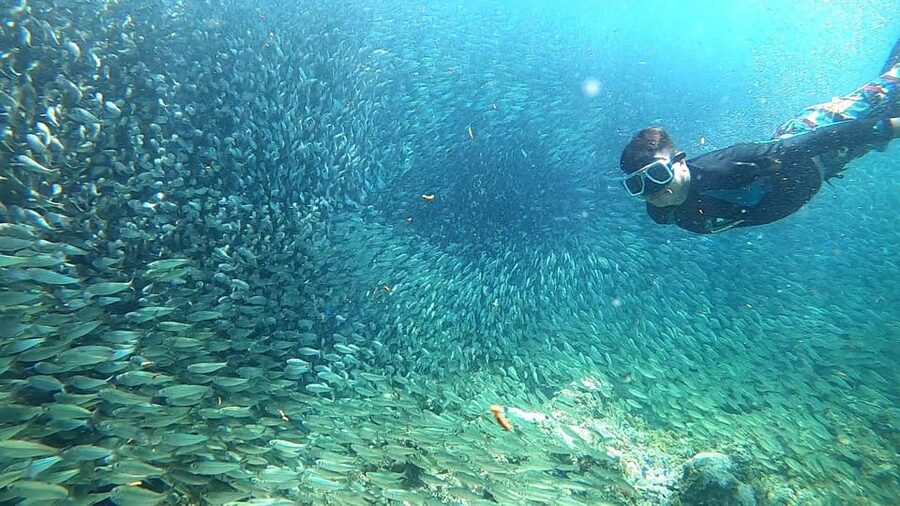 Cebu: Moalboal Snorkeling, Mantayupan Falls & ATV Adventure - Carcar lunch and the long ride home