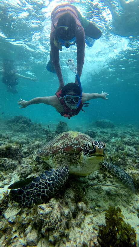 Cebu: Moalboal Snorkeling, Mantayupan Falls & ATV Adventure - What the $117 price really covers