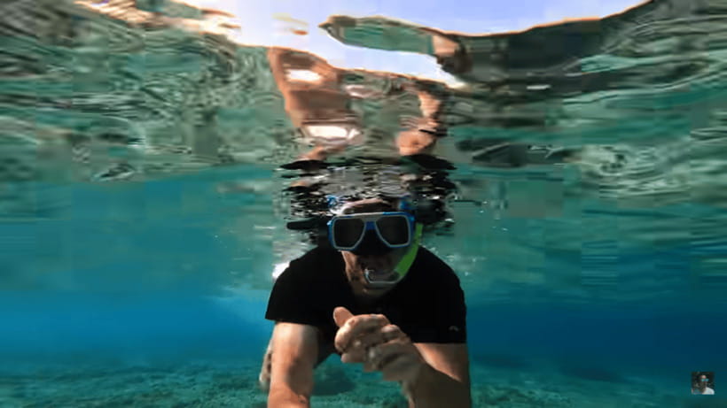 Cebu: Oslob Whale Shark and Moalboal Snorkeling Tour - Practical ways to improve your day
