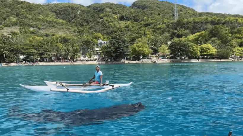 Cebu: Oslob Whale Shark and Moalboal Snorkeling Tour - The early road to Oslob