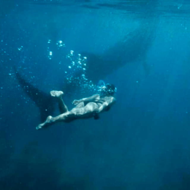 Cebu: Oslob Whale Shark, Sumilon, Ruins, Simala Church - The key points at a glance