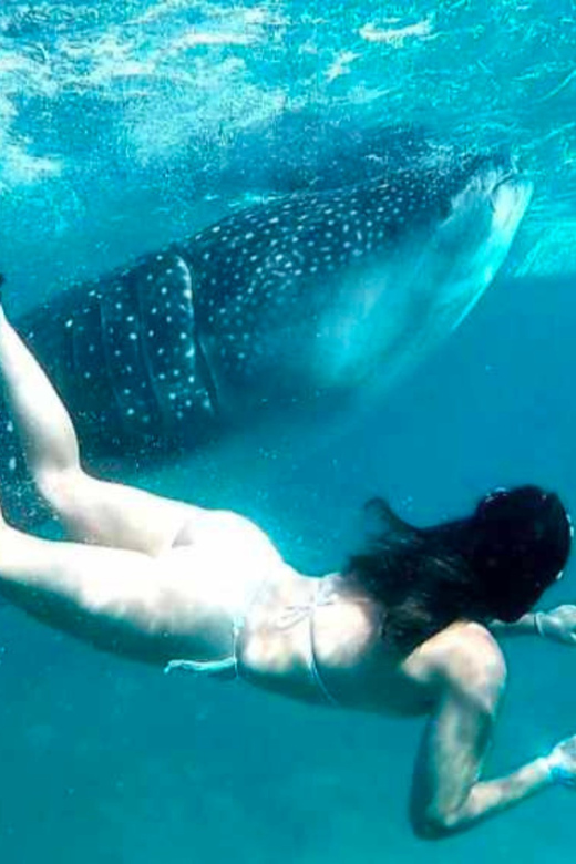 Cebu: Oslob Whale Shark, Sumilon, Ruins, Simala Church - Simala Shrine, the calmest stop of the afternoon