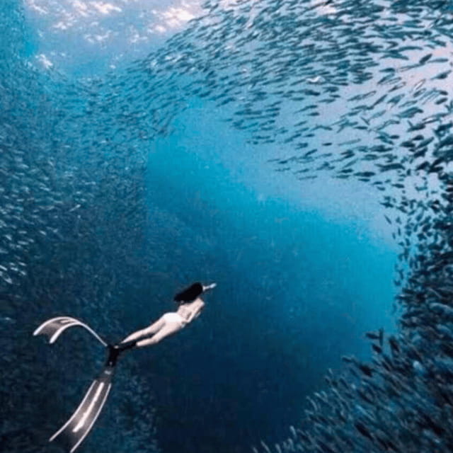 Cebu: Oslob Whale Shark, Sumilon, Ruins, Simala Church - Timing, transport, and the question of pace