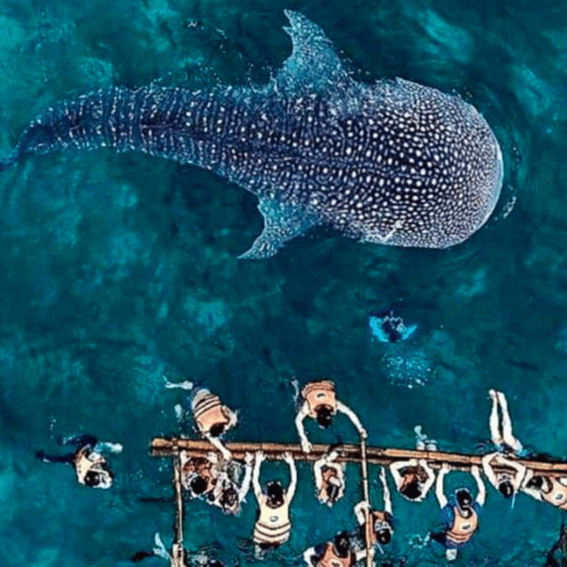Cebu: Oslob Whale Shark, Sumilon, Ruins, Simala Church - Sumilon Island Sandbar, a bright pause in a long day