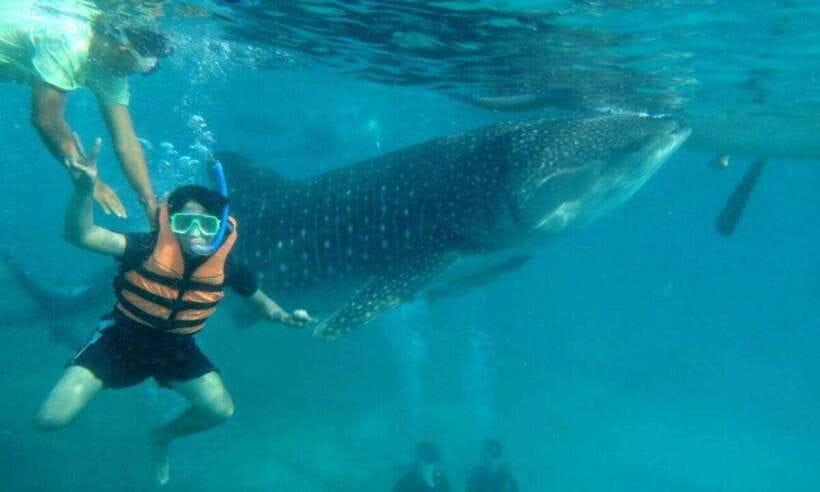 Cebu: Oslob Whale Shark Swimming and Tumalog Falls Tour - What to pack for a smoother day